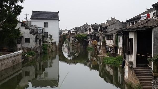 拯救铁笼中的小牛