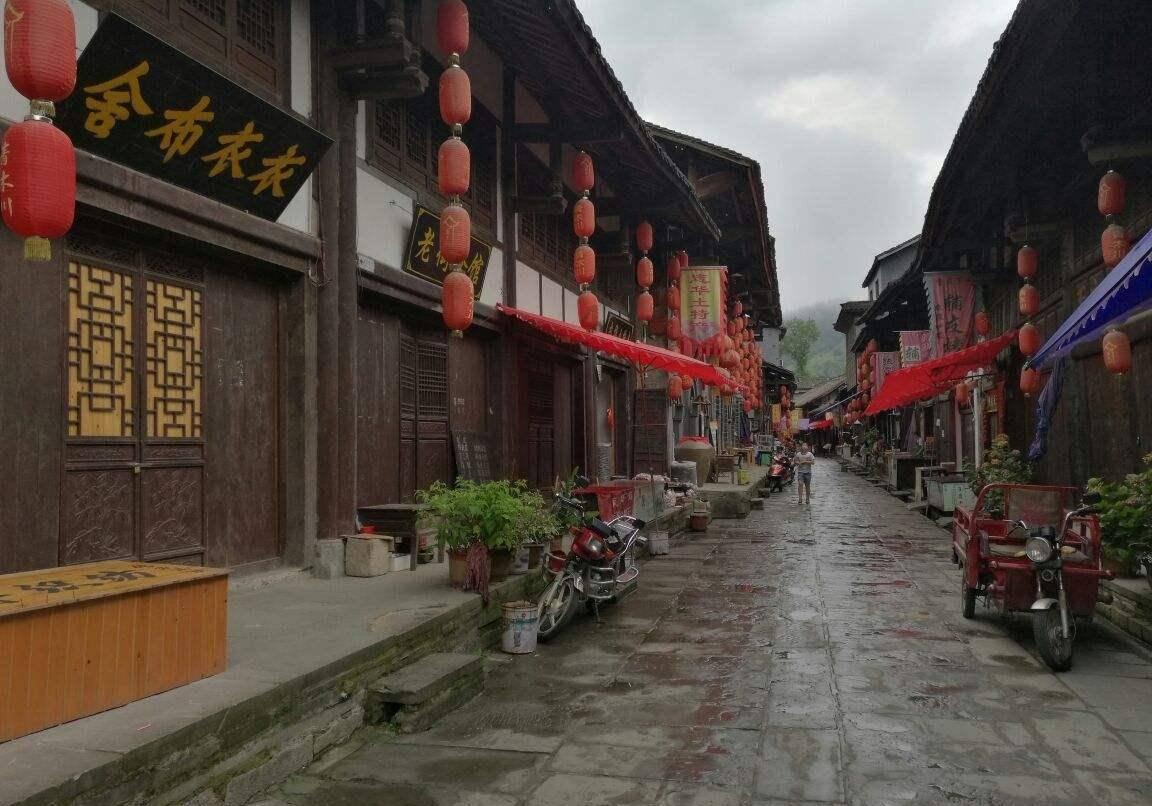 独步竹林
